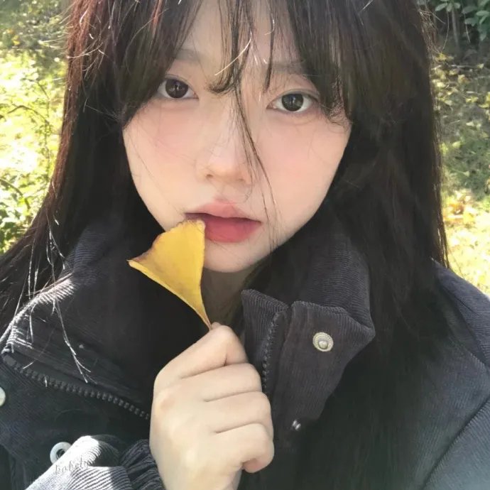 谁说我结不了婚