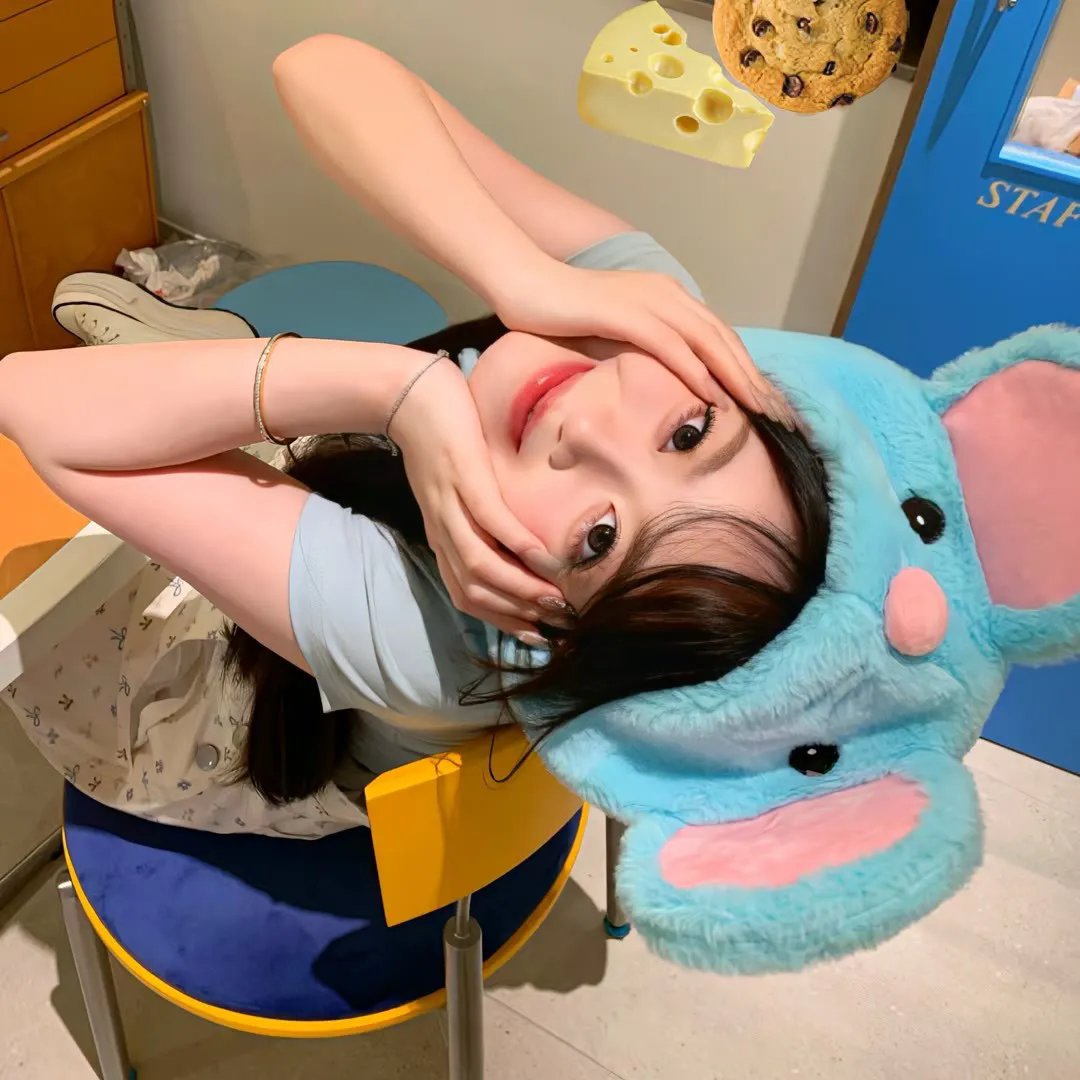 布希妈妈