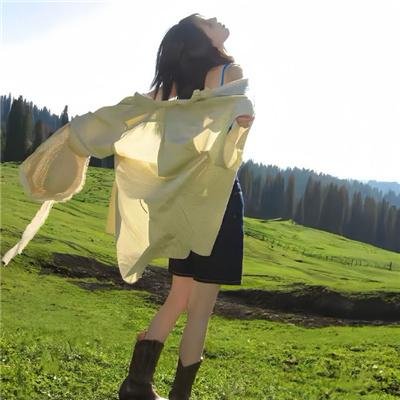 法律至上1